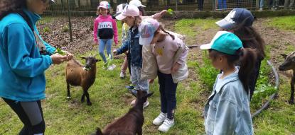 EXCURSI�N 6� DE INFANTIL - Foto 27