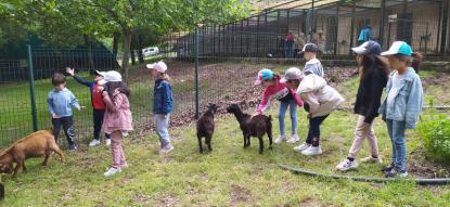 EXCURSI�N 6� DE INFANTIL - Foto 31