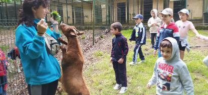 EXCURSI�N 6� DE INFANTIL - Foto 34