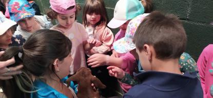 EXCURSI�N 6� DE INFANTIL - Foto 28