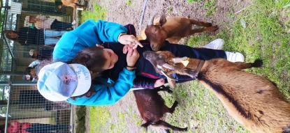 EXCURSI�N 6� DE INFANTIL - Foto 33