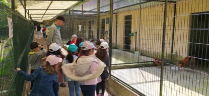 EXCURSI�N 6� DE INFANTIL - Foto 36