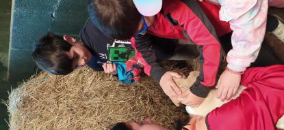 EXCURSI�N 6� DE INFANTIL - Foto 35