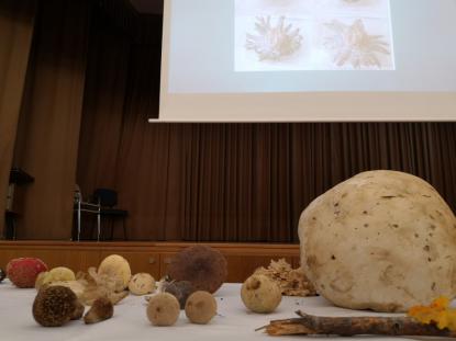 JORNADA MICOL�GICA EN JOSEFINAS - Foto 4