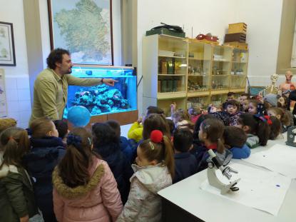 LOS ALUMNOS DE 6� DE INFANTIL VISITAN EL ACUARIO - Foto 4