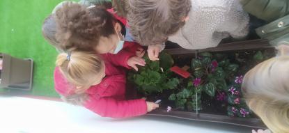 EN INFANTIL CULTIVAMOS LA PAZ  - Foto 4