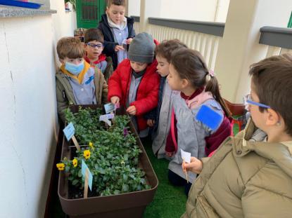 EN INFANTIL CULTIVAMOS LA PAZ  - Foto 5