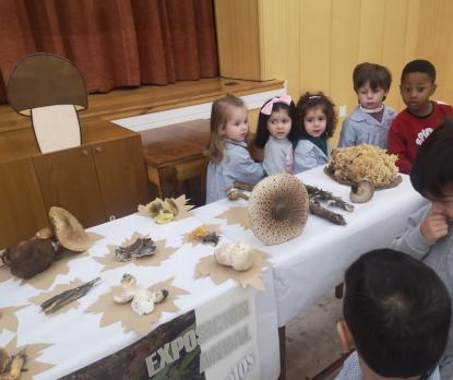 EXPOSICION MICOL�GICA 2023 - Foto 6