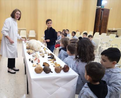 JORNADA MICOL�GICA EN JOSEFINAS - Foto 9