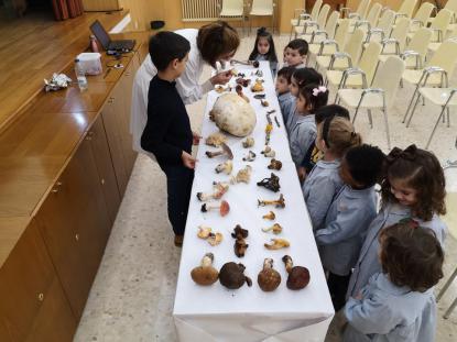 JORNADA MICOL�GICA EN JOSEFINAS - Foto 10