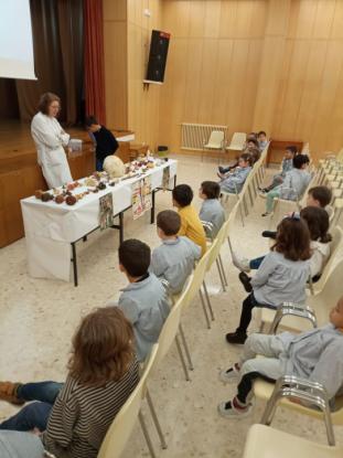 JORNADA MICOL�GICA EN JOSEFINAS - Foto 11