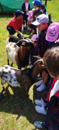 EXCURSI�N 1� ED. PRIMARIA - Foto 10