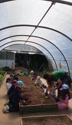 EXCURSIONES INFANTIL Y PRIMARIA - Foto 11