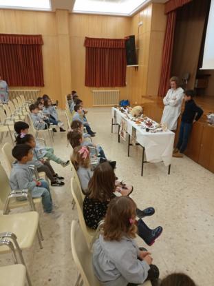 JORNADA MICOL�GICA EN JOSEFINAS - Foto 13