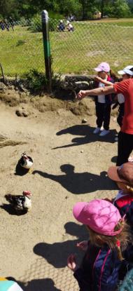 EXCURSI�N 1� ED. PRIMARIA - Foto 12