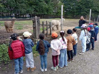 EXCURSI�N INFANTIL - Foto 10