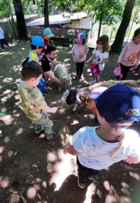 FERVENZA AVENTURA (5� ED. INFANTIL) - Foto 14
