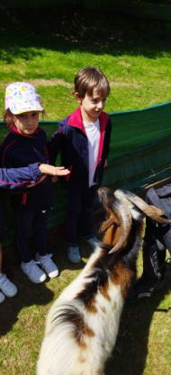 EXCURSI�N 1� ED. PRIMARIA - Foto 15