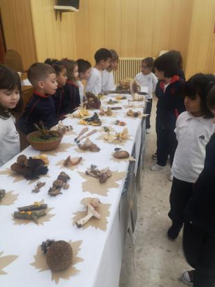 EXPOSICION MICOL�GICA 2023 - Foto 17