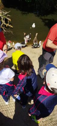 EXCURSI�N 1� ED. PRIMARIA - Foto 14