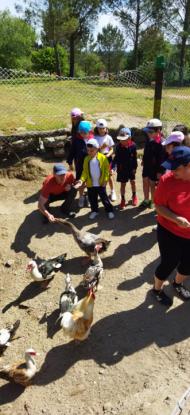 EXCURSI�N 1� ED. PRIMARIA - Foto 17