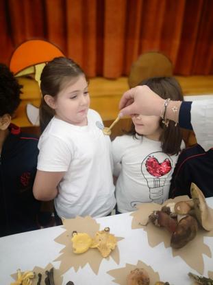 EXPOSICION MICOL�GICA 2023 - Foto 14