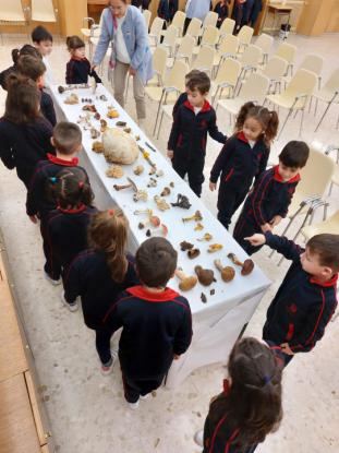 JORNADA MICOL�GICA EN JOSEFINAS - Foto 16