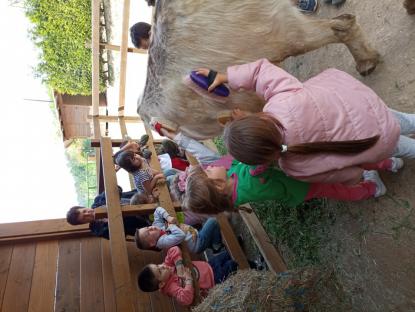 EXCURSI�N DE 5� DE INFANTIL - Foto 8