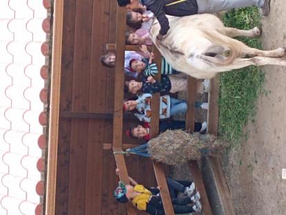EXCURSI�N DE 5� DE INFANTIL - Foto 4
