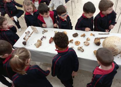 JORNADA MICOL�GICA EN JOSEFINAS - Foto 17