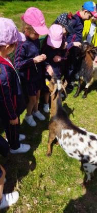 EXCURSI�N 1� ED. PRIMARIA - Foto 19