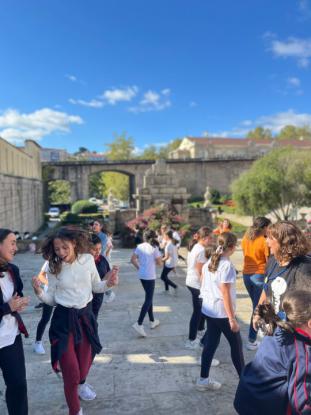 MSJ - Foto 16