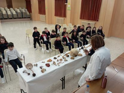 JORNADA MICOL�GICA EN JOSEFINAS - Foto 18
