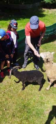 EXCURSI�N 1� ED. PRIMARIA - Foto 16