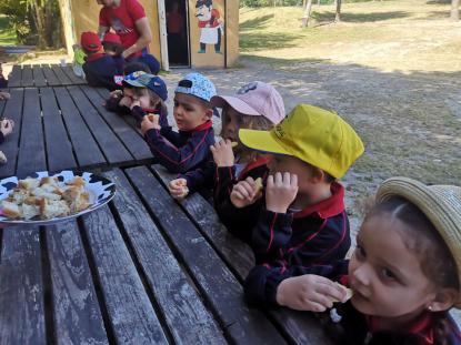 EXCURSI�N 4� ED. INFANTIL - Foto 19