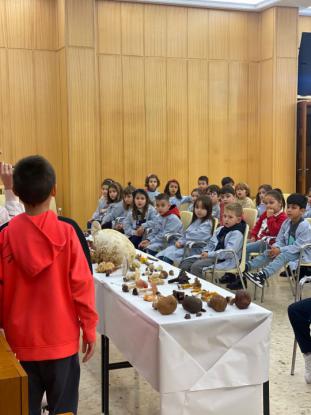 JORNADA MICOL�GICA EN JOSEFINAS - Foto 20