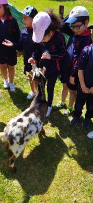 EXCURSI�N 1� ED. PRIMARIA - Foto 2