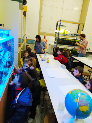 VISITA AL ACUARIO DEL IES OTERO PEDRAYO - 5� INFANTIL - Foto 3