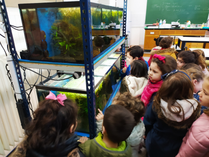 VISITA AL ACUARIO DEL IES OTERO PEDRAYO - 5� INFANTIL - Foto 8