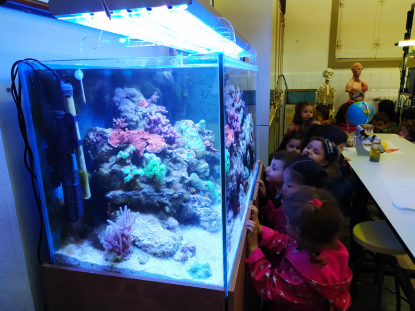 VISITA AL ACUARIO DEL IES OTERO PEDRAYO - 5� INFANTIL - Foto 6