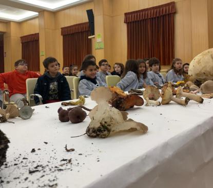 JORNADA MICOL�GICA EN JOSEFINAS - Foto 22
