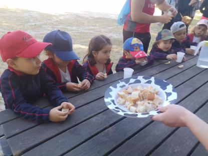 EXCURSI�N 4� ED. INFANTIL - Foto 21