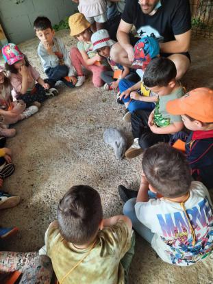 FERVENZA AVENTURA (5� ED. INFANTIL) - Foto 23