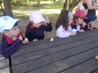 EXCURSI�N 4� ED. INFANTIL - Foto 24