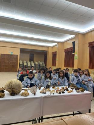 JORNADA MICOL�GICA EN JOSEFINAS - Foto 29