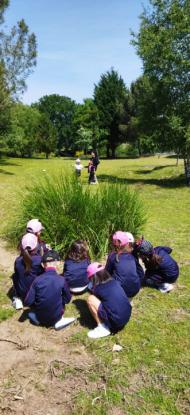EXCURSI�N 1� ED. PRIMARIA - Foto 37