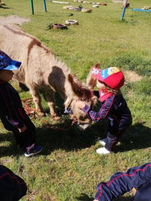 LOS M�S PEQUES SE VAN DE VIAJE - Foto 31