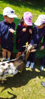 EXCURSI�N 1� ED. PRIMARIA - Foto 3