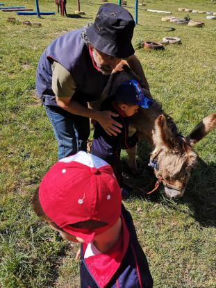 LOS M�S PEQUES SE VAN DE VIAJE - Foto 32