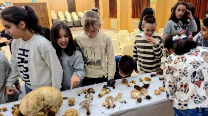 JORNADA MICOL�GICA EN JOSEFINAS - Foto 31